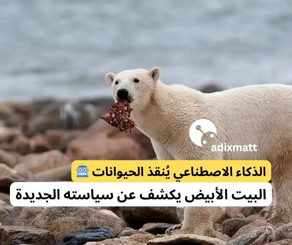 تخيّل أن الذكاء الاصطناعي لن يكون فقط في هواتفنا وأجهزتنا... بل سيصبح أفضل صديق للحيوانات! 🐾